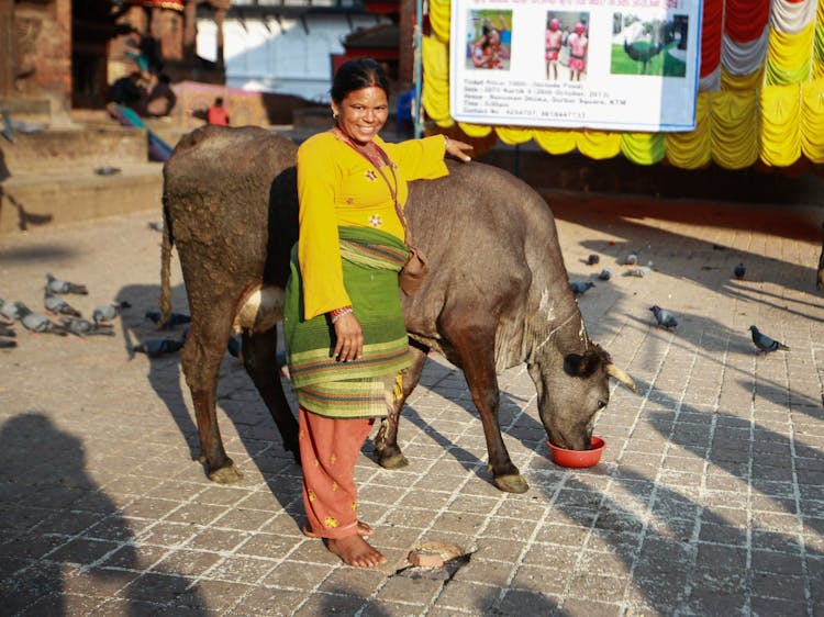 Smiling Woman With Eating Cow