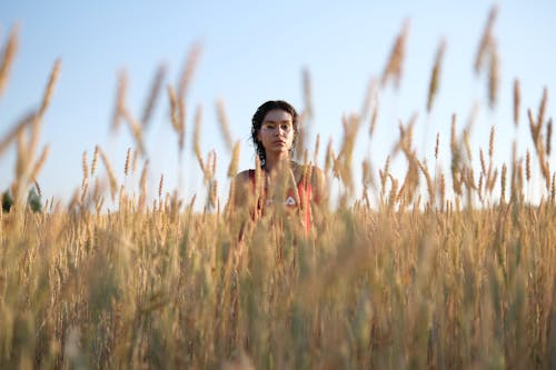Free A Woman Standing on a Cropland Stock Photo