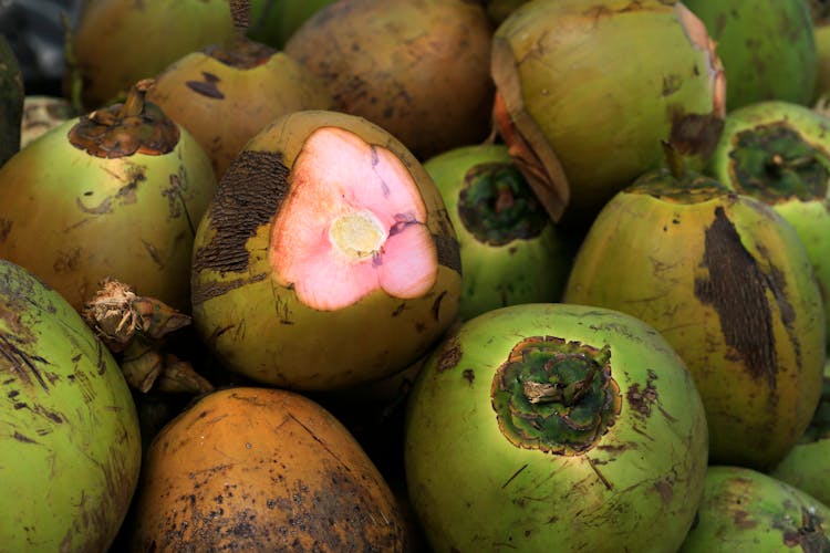 A Fresh Coconuts