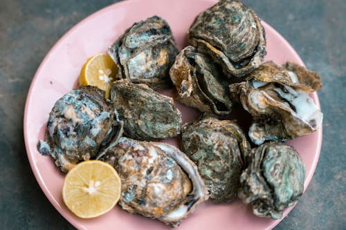 Oysters on a Plate 