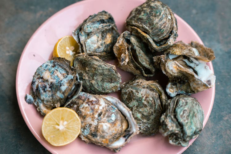 Oysters On A Plate 