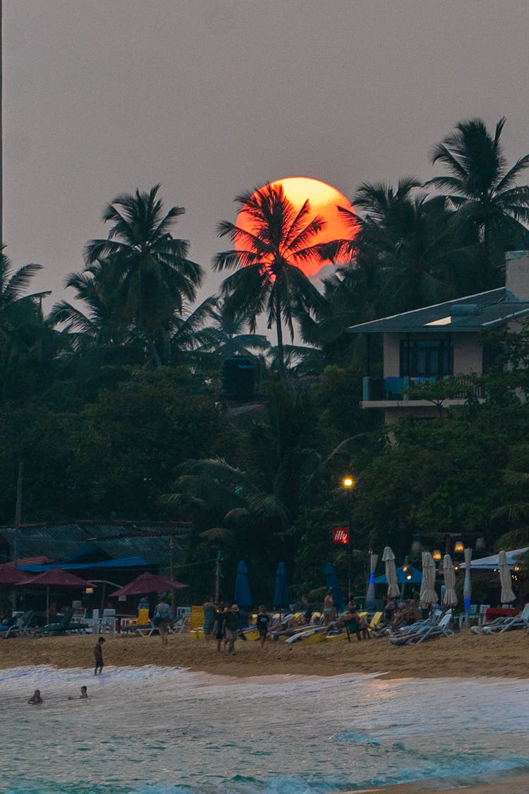 Palm Beach Resort At Sunset