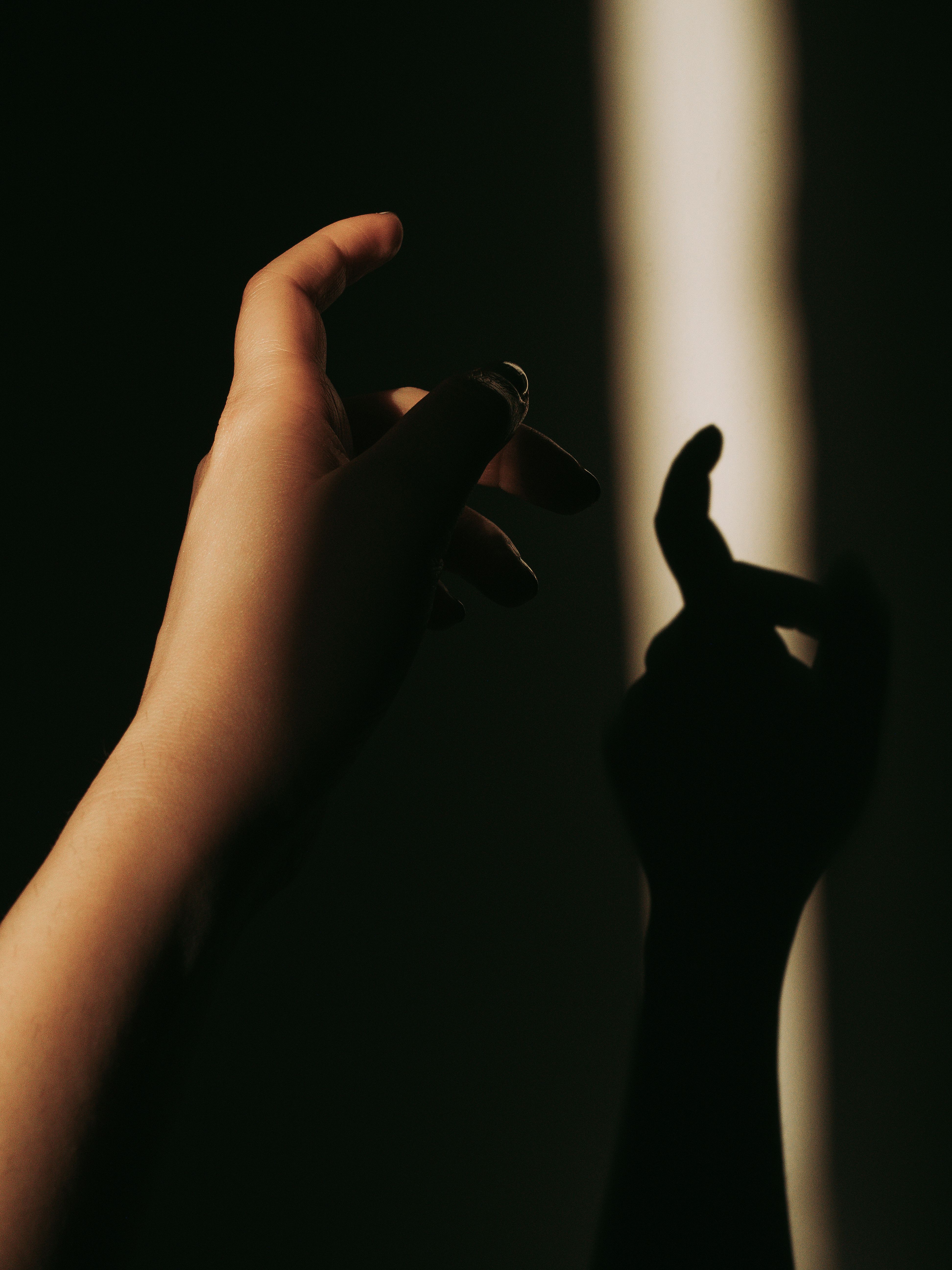 Close Up Photo of a Hand · Free Stock Photo
