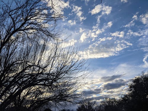 Ingyenes stockfotó ég, fák, felhők témában