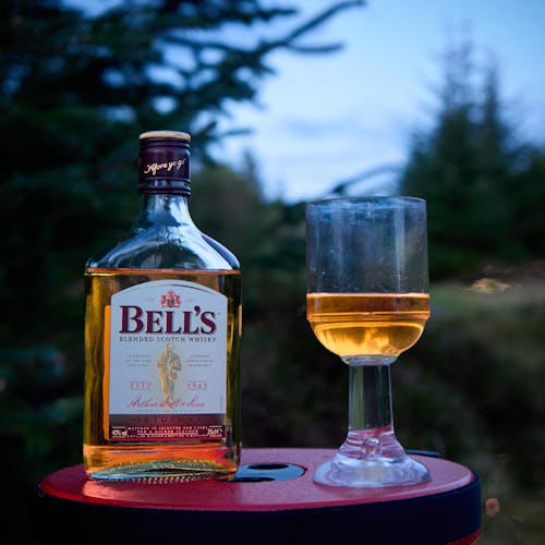 Whisky in a bottle and a glass - outdoor. Green forest at the background