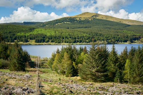 Green hills across the blue loch - green trees around the loch