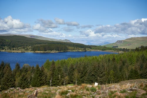 Green hills across the blue loch - green trees around the loch. Mountains at distance.