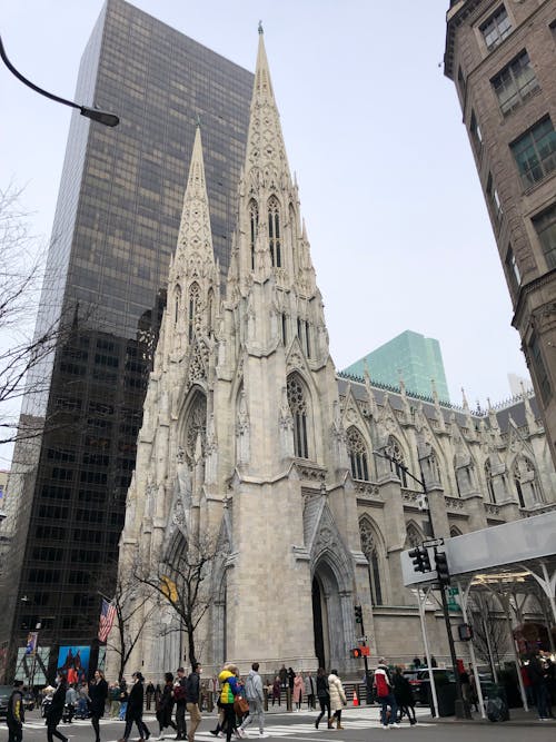 Free  St. Patrick's Cathedral Stock Photo