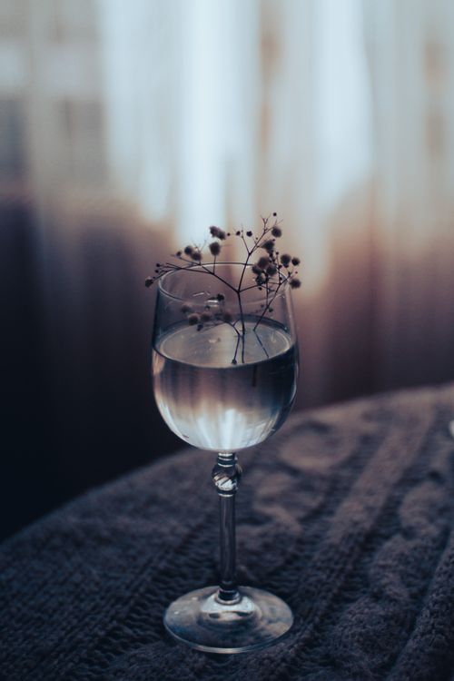 Free A serene still life of a wineglass with delicate flowers inside, exuding calmness. Stock Photo