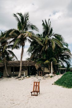 Wooden chair on a sandy beach with lush palm trees and rustic house in Cozumel.