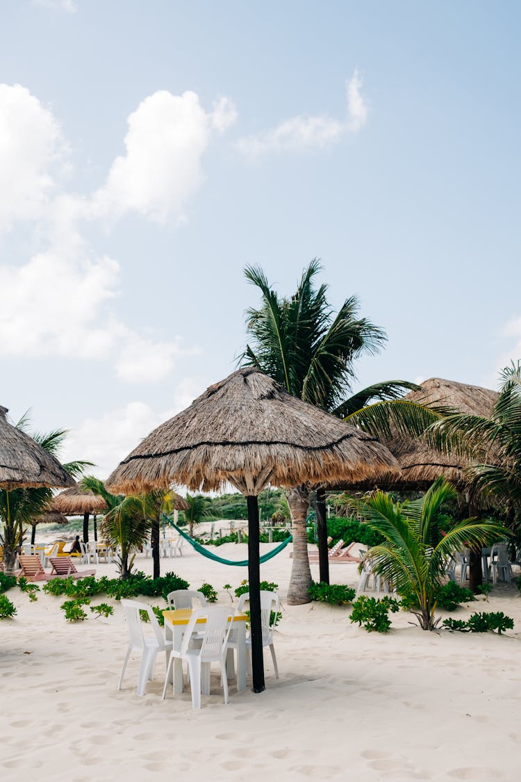 Beach On Cozumel Island In Mexico 