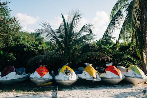 Ücretsiz kum, Palmiye ağaçları, plaj içeren Ücretsiz stok fotoğraf Stok Fotoğraflar