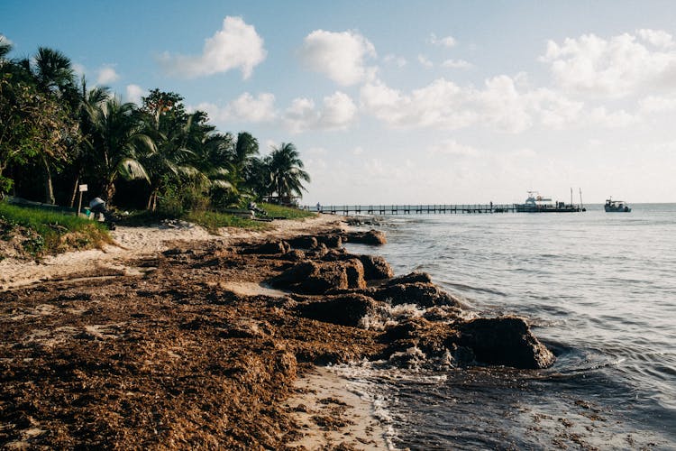 Sand And Rocks Of A Beach In Cozumel, Mexico