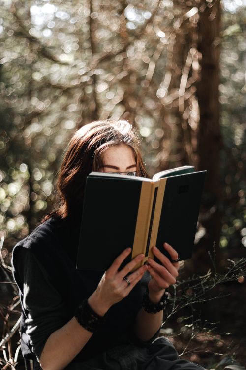 Free Relaxed woman reading a book in a sunlit forest, enjoying a serene moment. Stock Photo