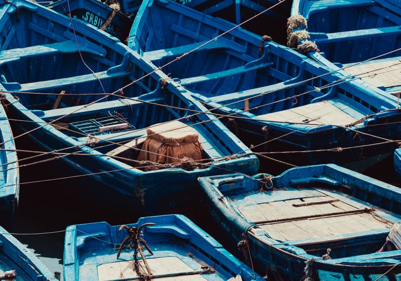 Blue fishing boats clustered in a sunny harbor