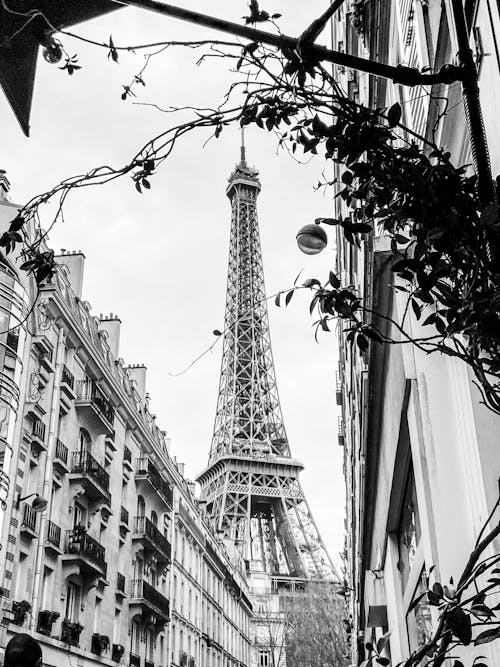Gratis lagerfoto af Eiffeltårnet, Frankrig, gråtoneskala