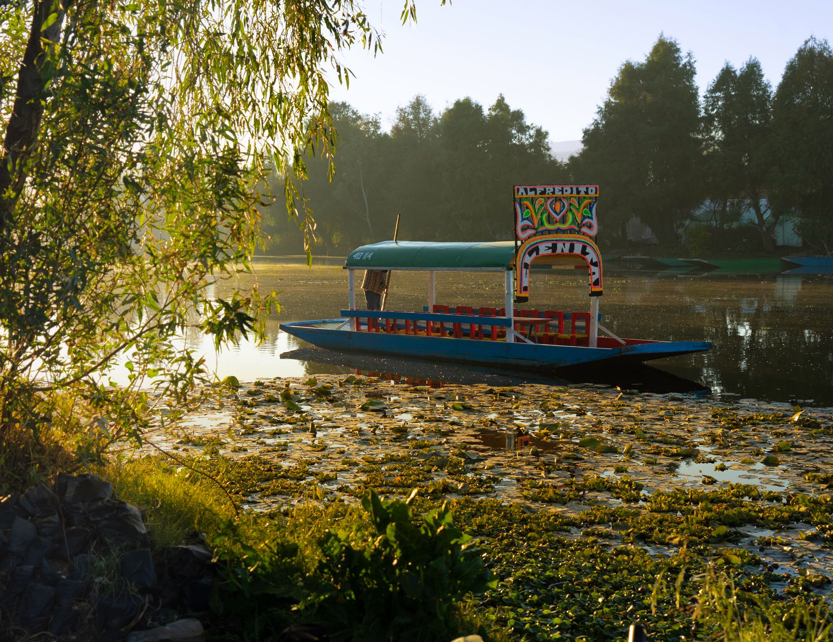 xochimilco trajineras colorful boats canals flowers mariachi