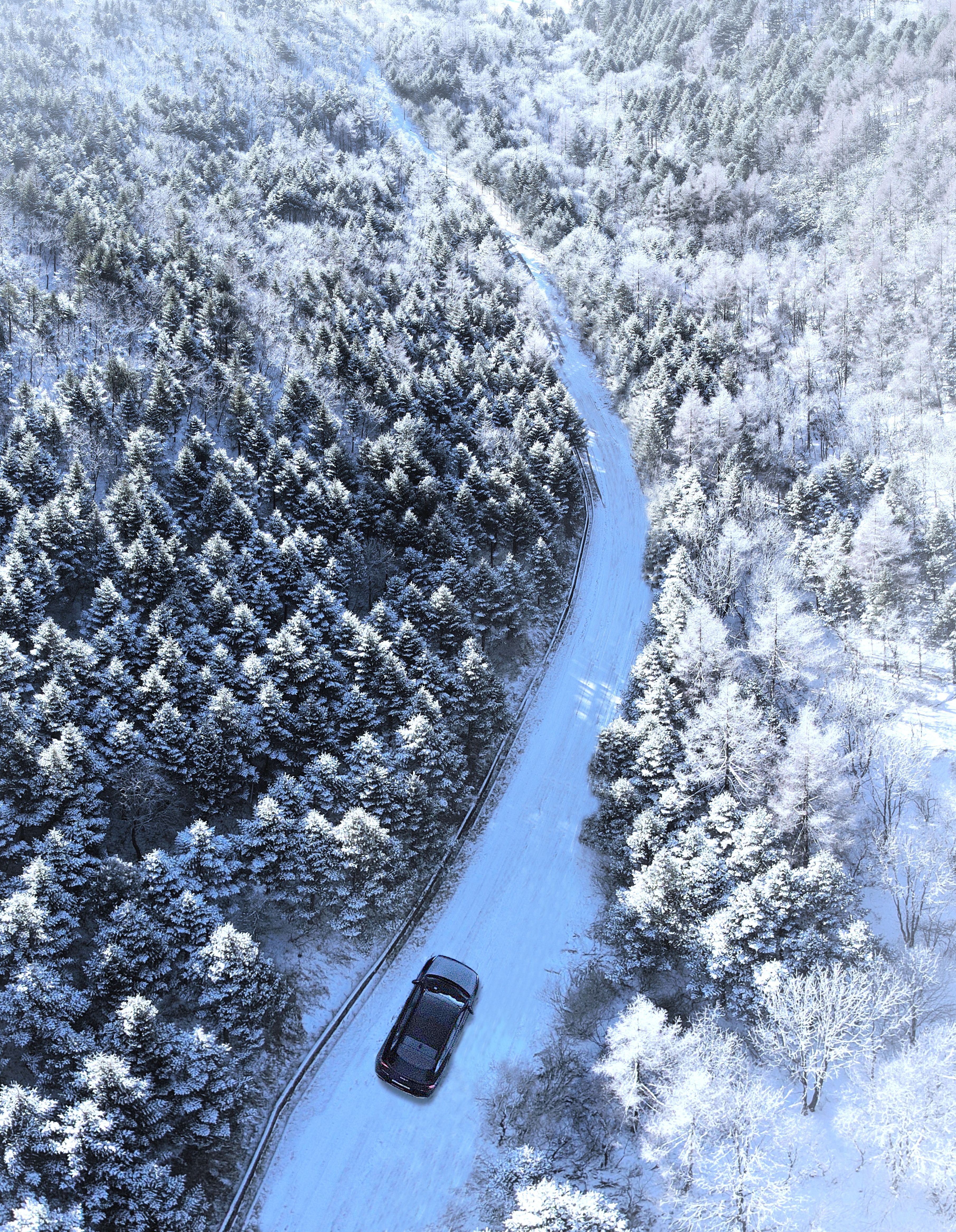 Aerial view of a snowy forest road with a car in Pyeongchang-gun, South Korea.