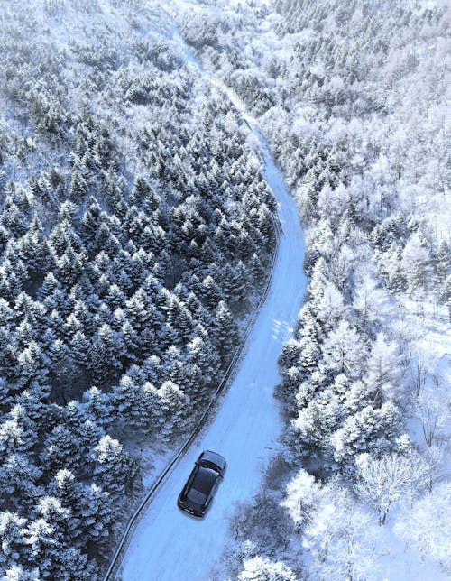 Aerial Shot of a Black Car on a Road Between Snow-Covered Trees