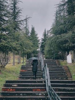 A woman with an umbrella ascends a forested stairway in Turkey during a rainy day.