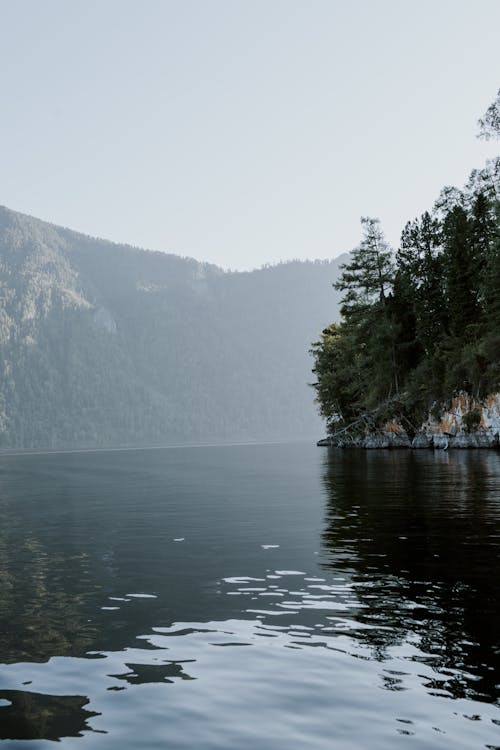 Fog over Lake