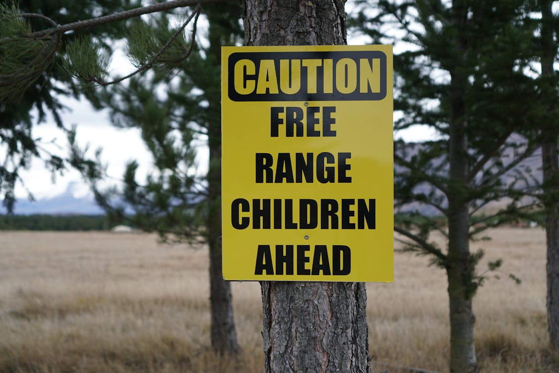 Caution Sign on a Tree Trunk