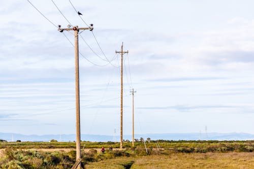 Fotos de stock gratuitas de Alto voltaje, campos de hierba, cielo azul