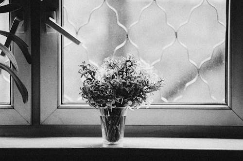Ücretsiz cam, çiçek, Çiçek aranjmanı içeren Ücretsiz stok fotoğraf Stok Fotoğraflar