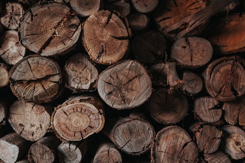Free Brown and Black Wood Logs Stock Photo