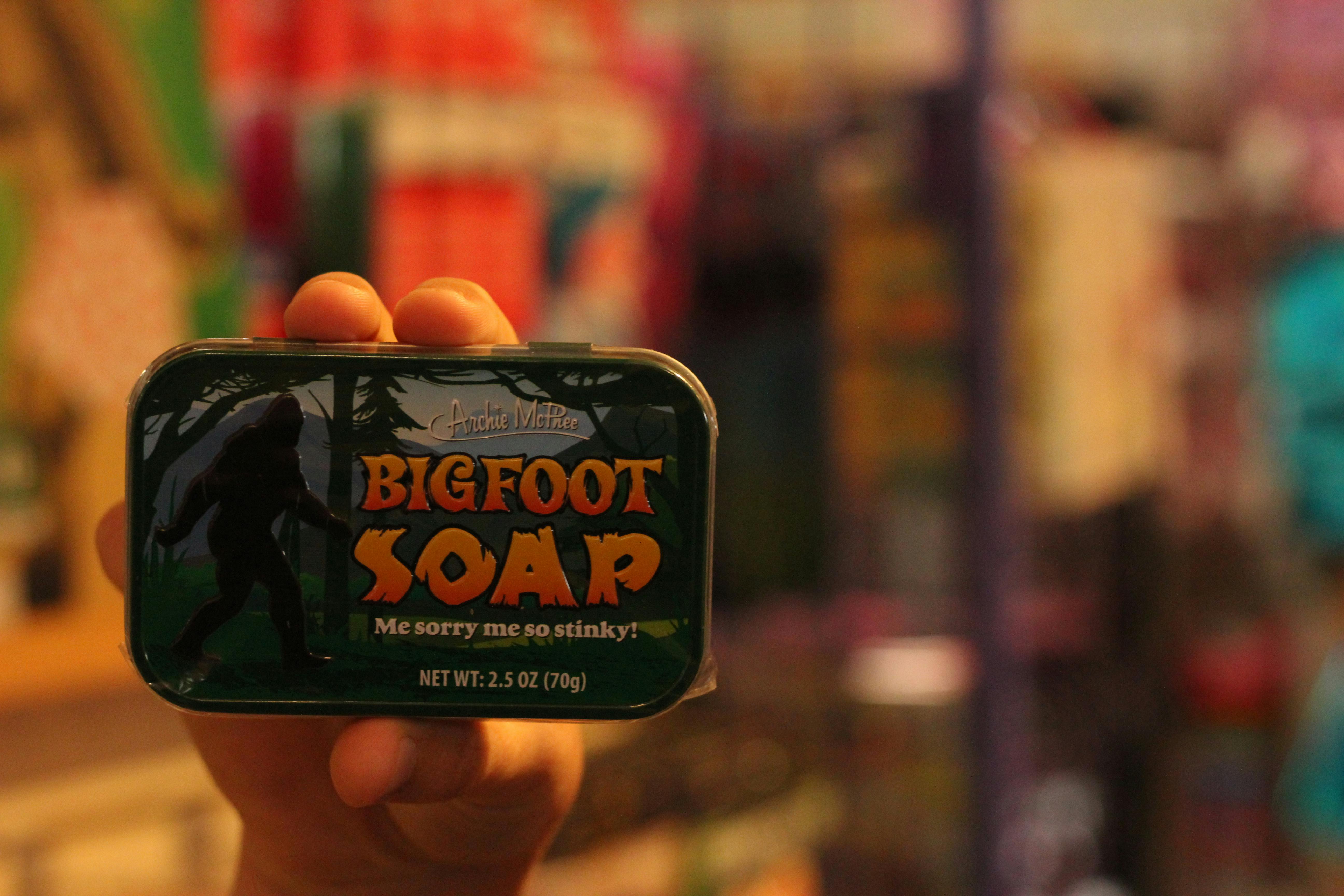 Kostenloses Foto zum Thema: heiligabend, kiefern, schnee