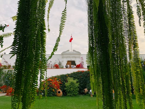 Darmowe zdjęcie z galerii z ameryka łacińska, architektura, muzeum