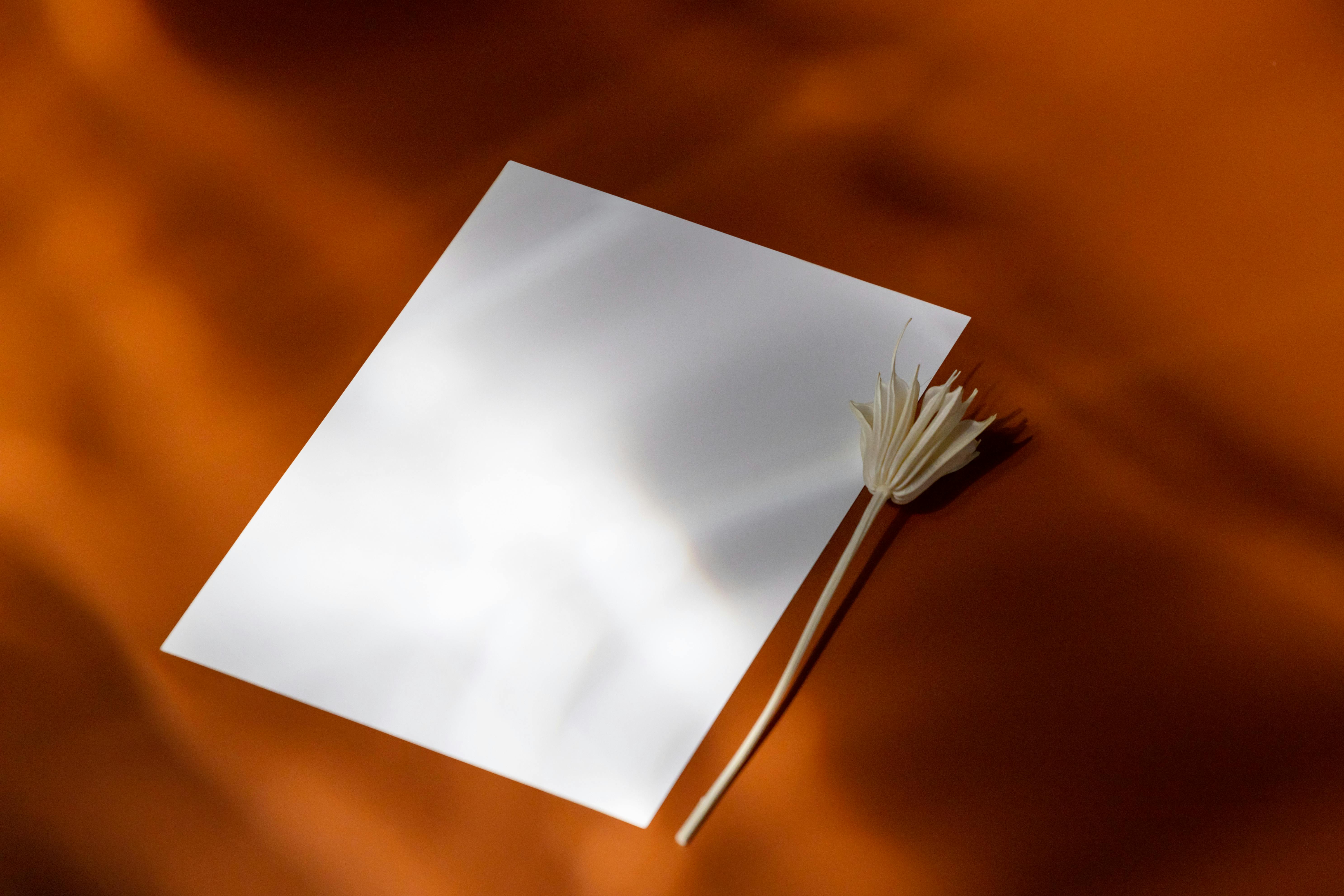 Artistic still life of a blank white paper on a rich brown background with soft lighting.