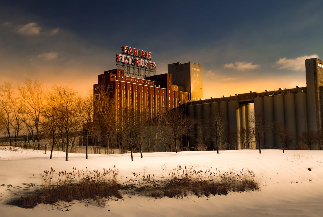 Kostnadsfri bild av arkitektur, dagtid, frost