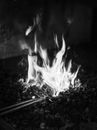 Grayscale Photo of Burning Wood