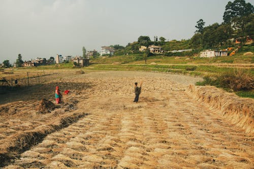 People Working in Field