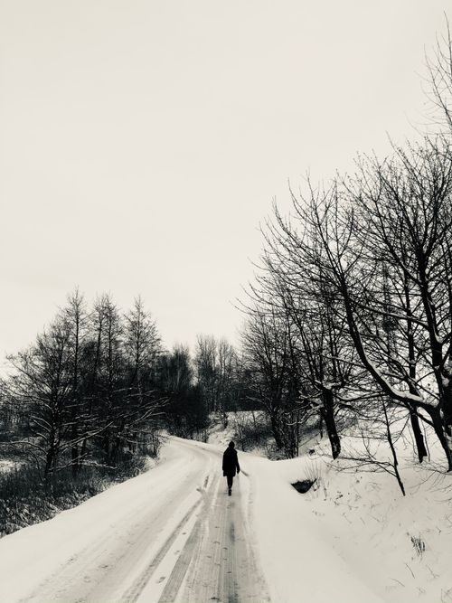Free A lone figure walks down a snowy road lined with bare trees in winter. Stock Photo