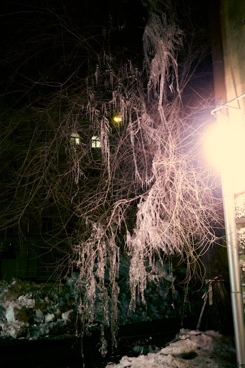光, 冰, 夜晚的城市 的 免费素材图片