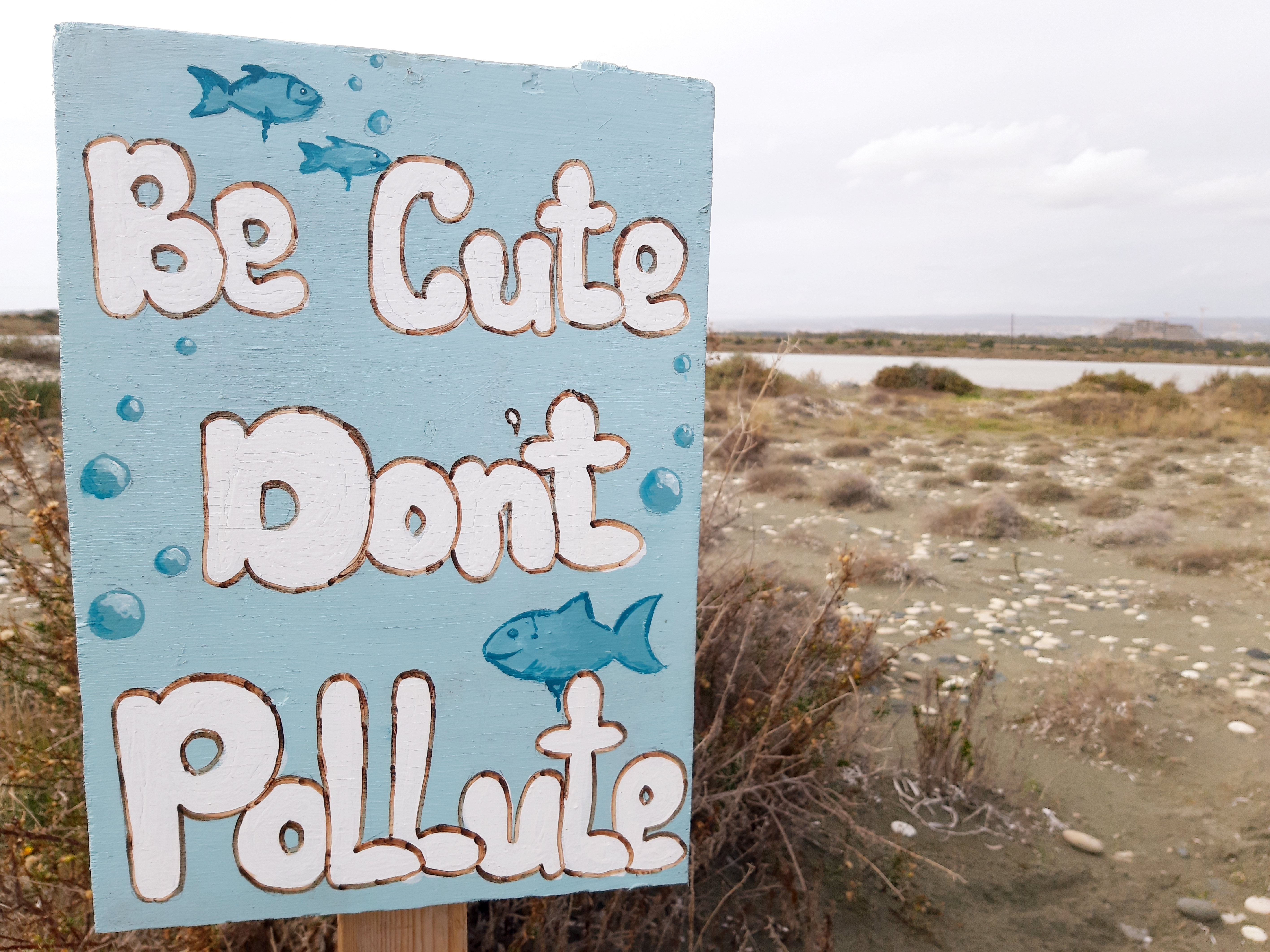 New Jersey Department of Environmental Protection | Sea Level Rise — Photo by Nafsika Constantinou on Pexels