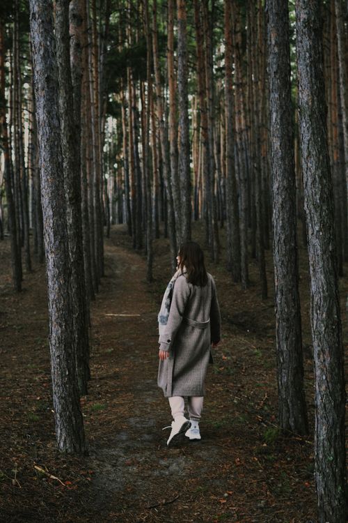Free A woman in a coat walks through a serene pine forest, enjoying nature's tranquility. Stock Photo