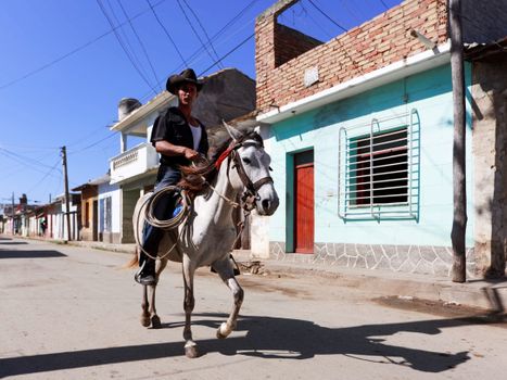 Cowboy on Horse