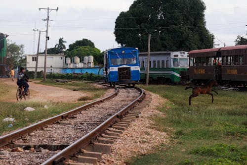 Безкоштовне стокове фото на тему «залізничної колії, локомотив, потяг»