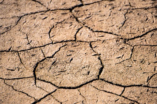 Free Close-Up of a Dry Cracked Soil Stock Photo