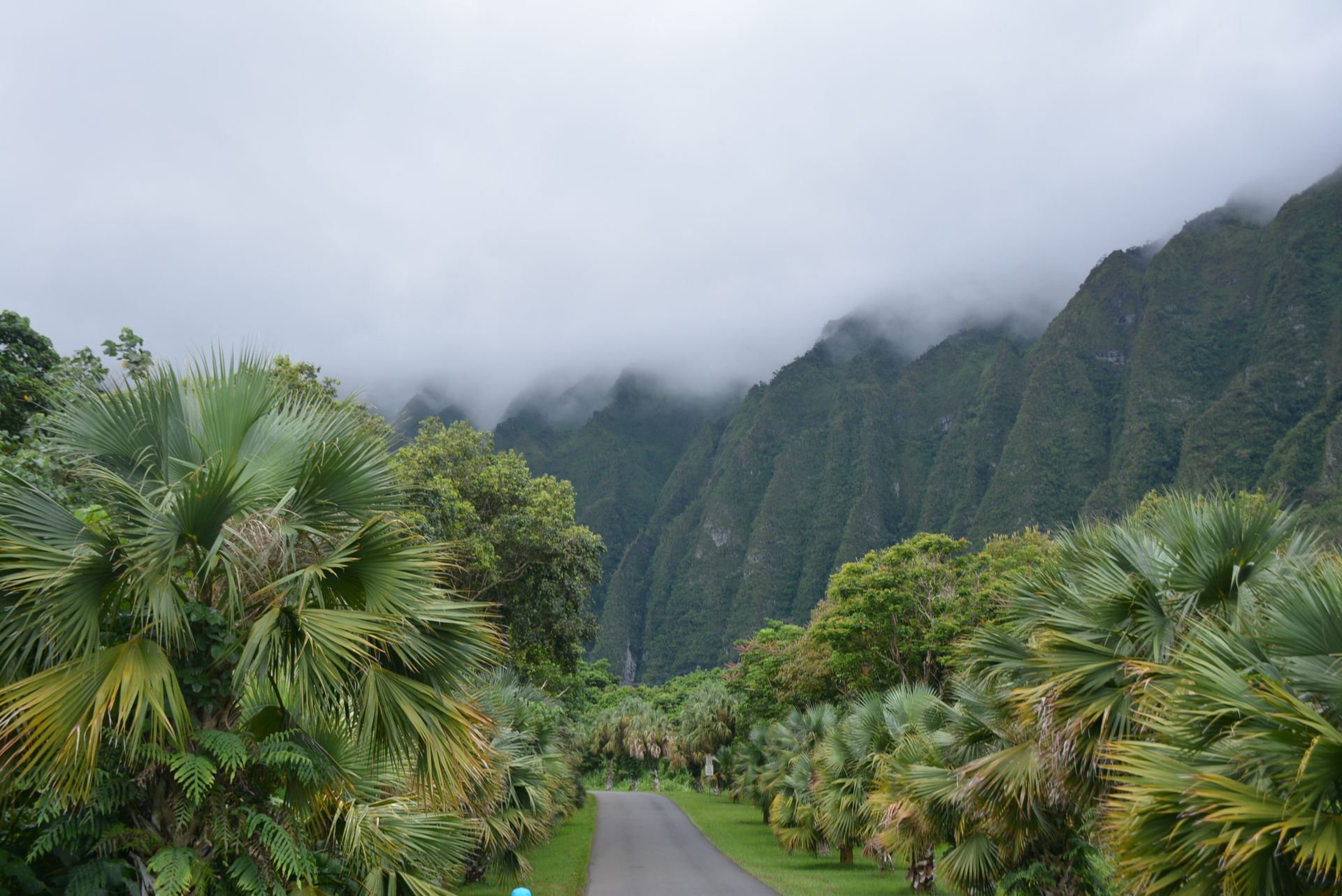 Kaneohe, Kaneohe HI — neighborhood review