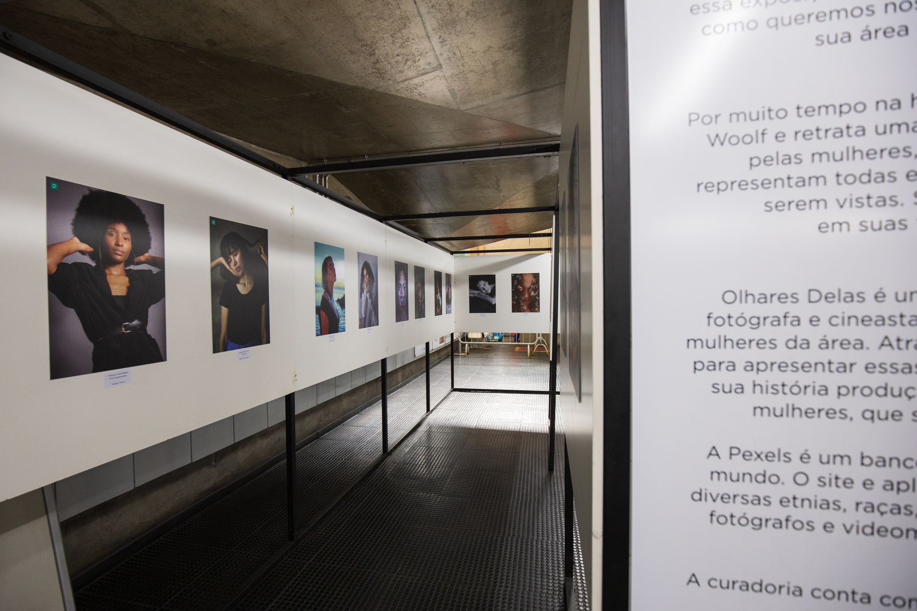 Ruth Rocha: Ícone da Literatura Infantil Ganha Exposição Emocionante em SP