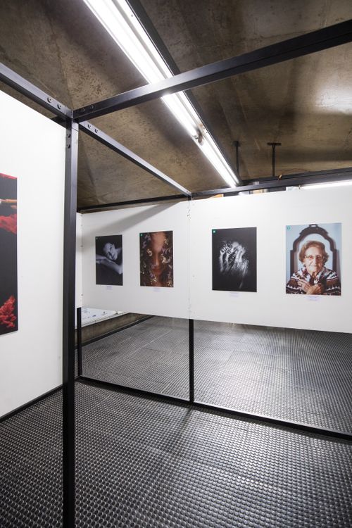 Free Modern art gallery showcasing photography under industrial lighting. Stock Photo