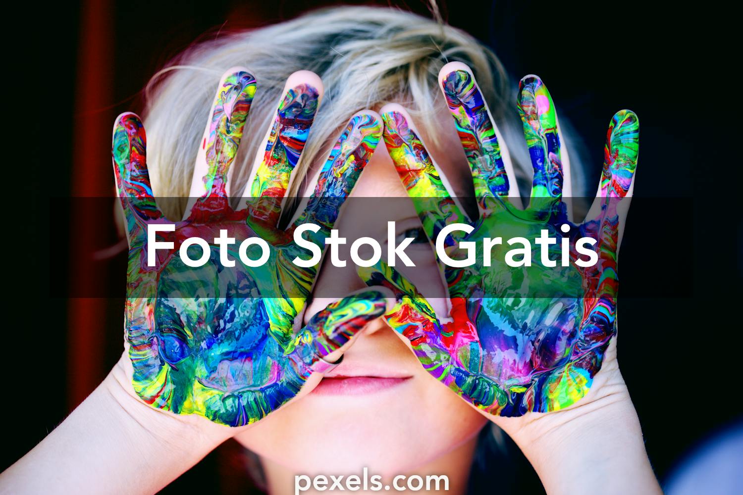 1000 Foto Cat  Warna  Warni  Pexels  Foto Stok Gratis