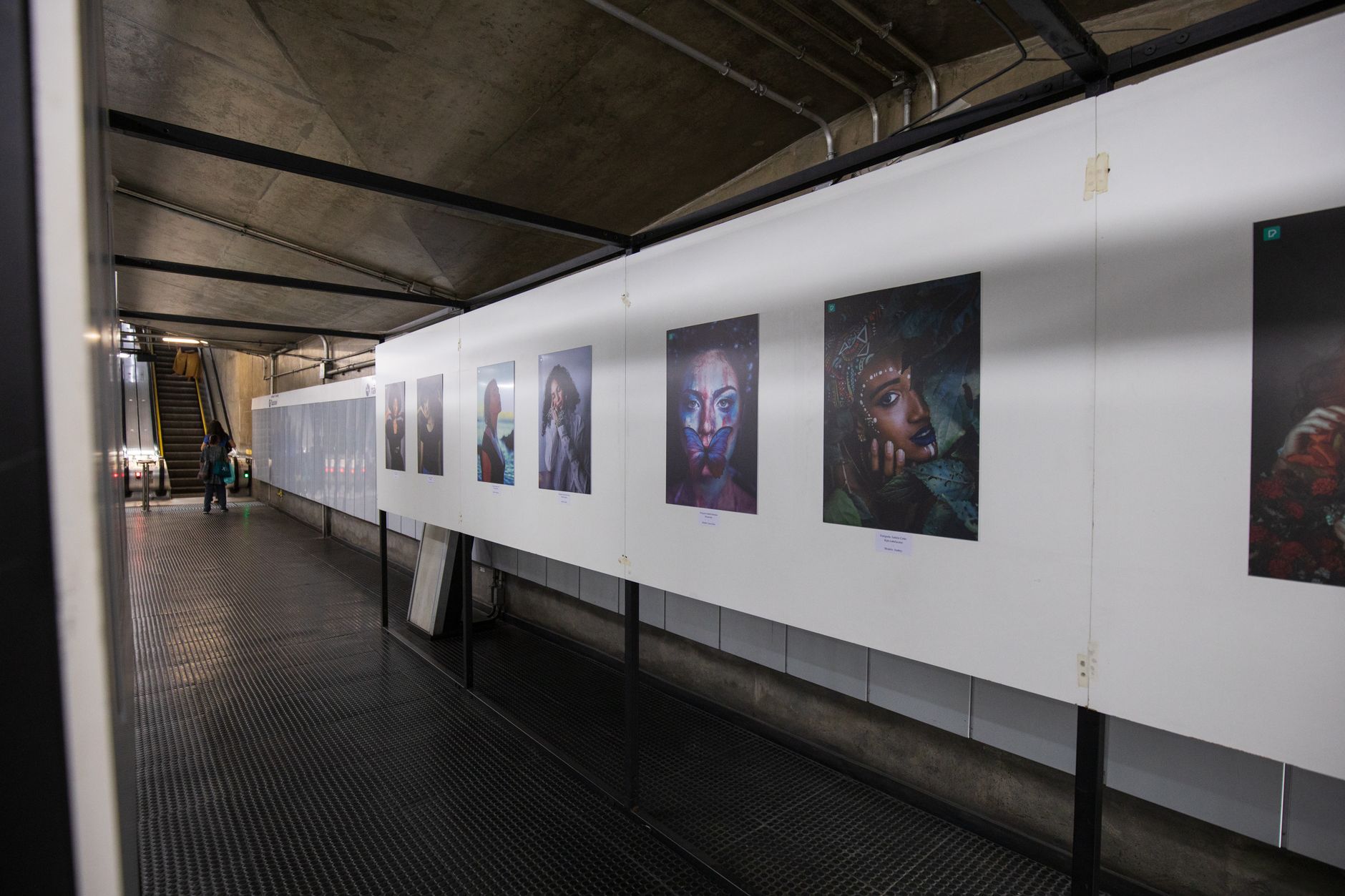 How Exhibition Reviews Influence Art Market Trends and Collector Decisions: A Case Study
