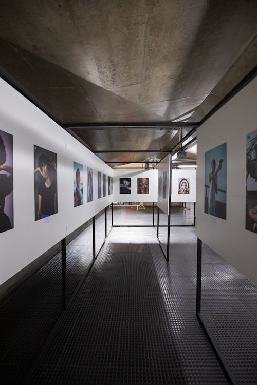 Exhibition of Photography
