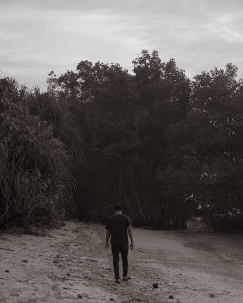 Foto profissional grátis de andando, areia, árvores