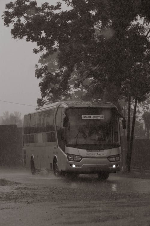 Ilmainen kuvapankkikuva tunnisteilla bussi, harmaasävyt, julkinen liikenne